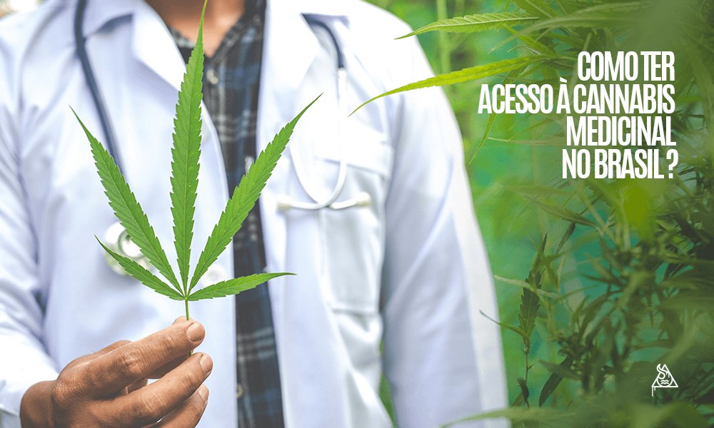 Qual é a melhor via de acesso à cannabis medicinal no Brasil? - Squadafum