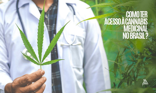 Qual é a melhor via de acesso à cannabis medicinal no Brasil? - Squadafum