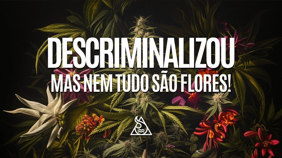 Descriminalizou, mas nem tudo são flores! - Squadafum